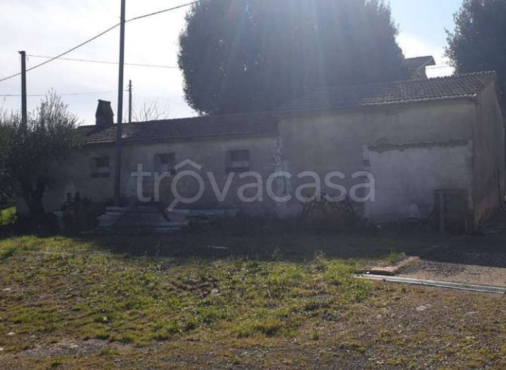 immagine annuncio 5 di 14