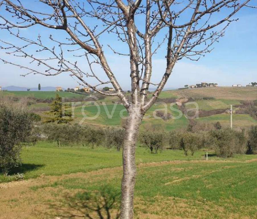 immagine annuncio 8 di 14