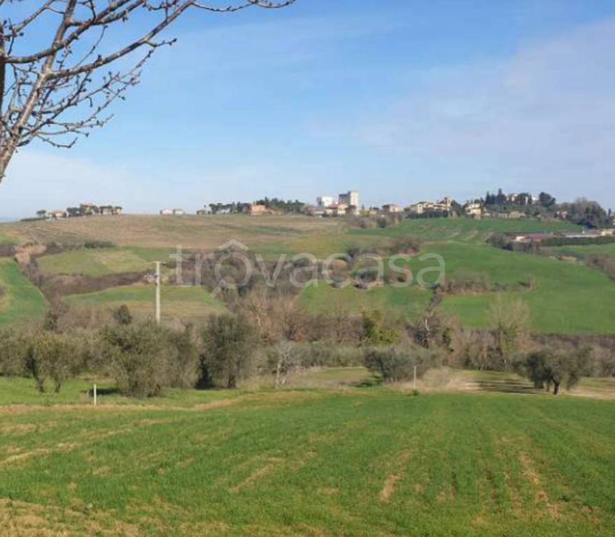 immagine annuncio 9 di 14