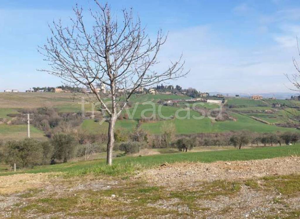 immagine annuncio 10 di 14