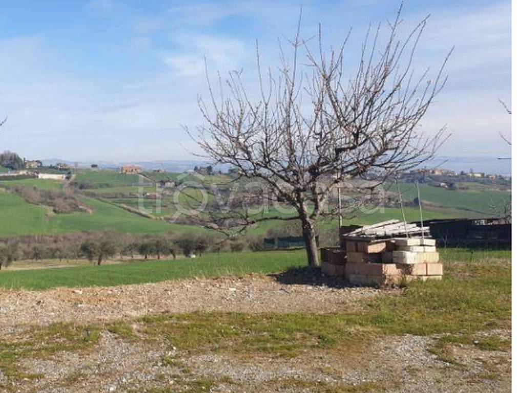 immagine annuncio 11 di 14