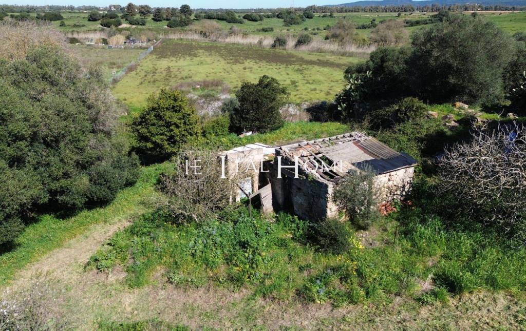 immagine annuncio 3 di 11