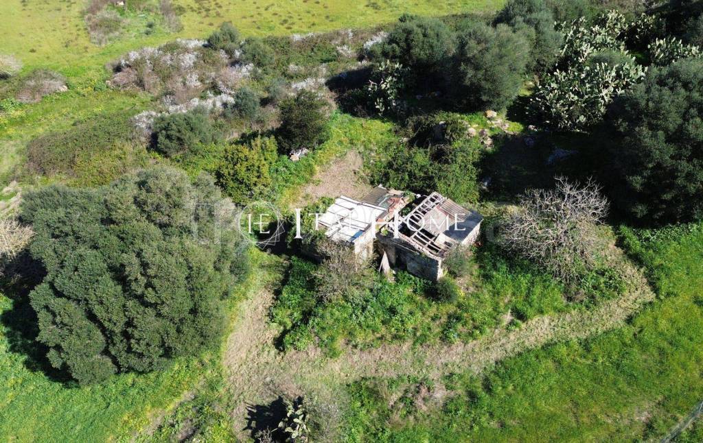 immagine annuncio 5 di 11