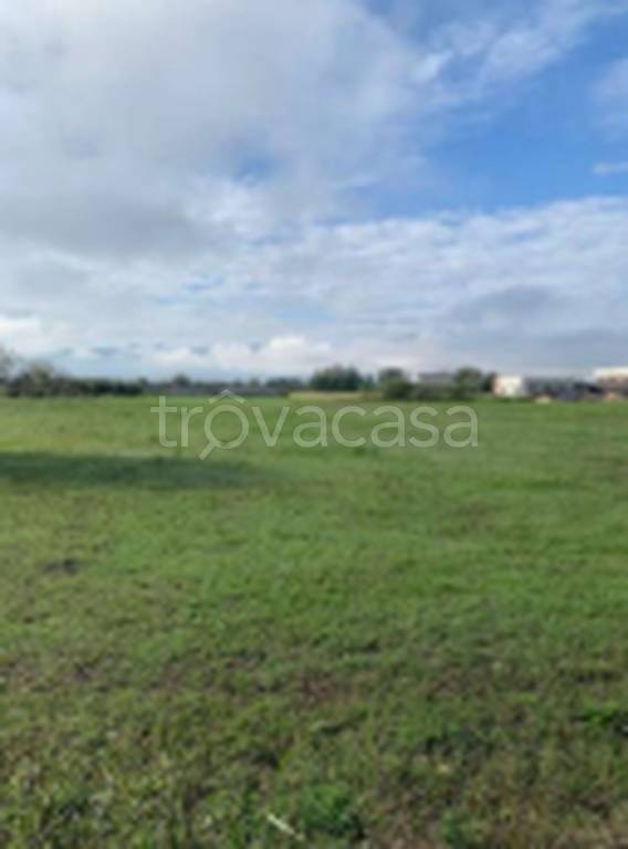 immagine annuncio 6 di 11