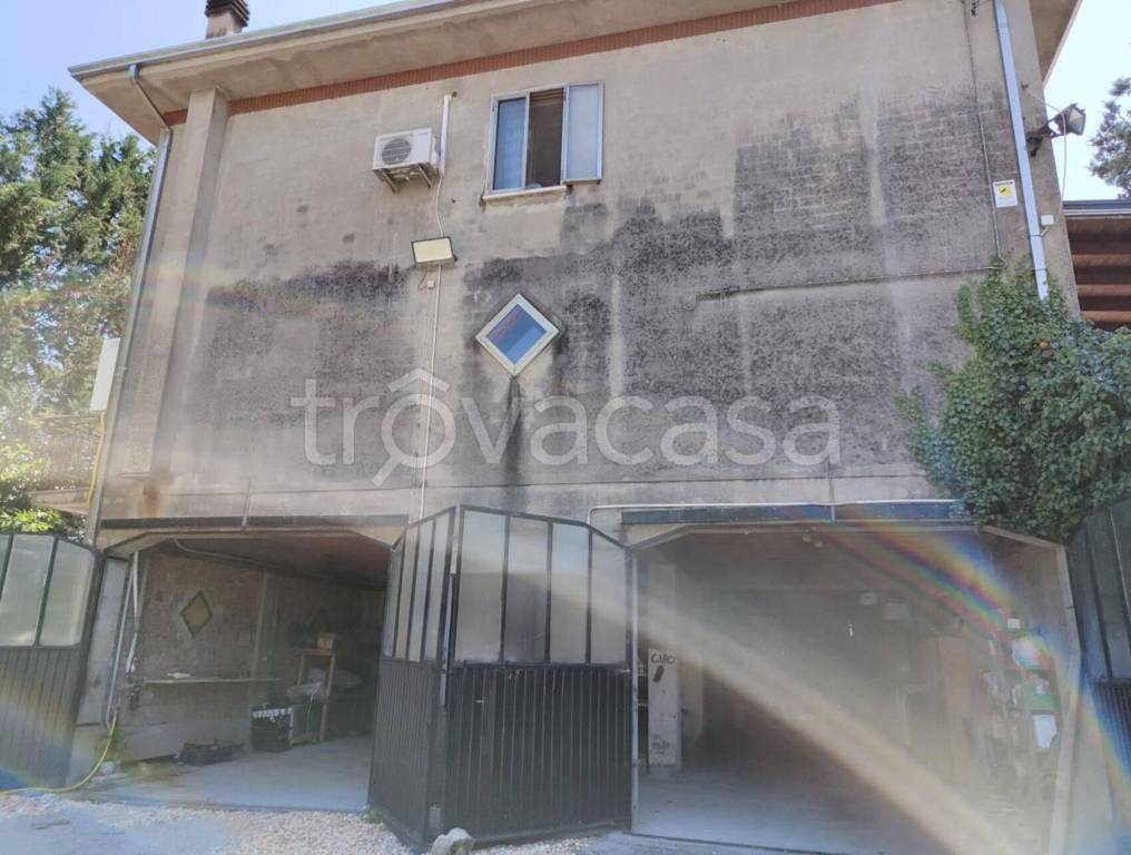 immagine annuncio 2 di 11