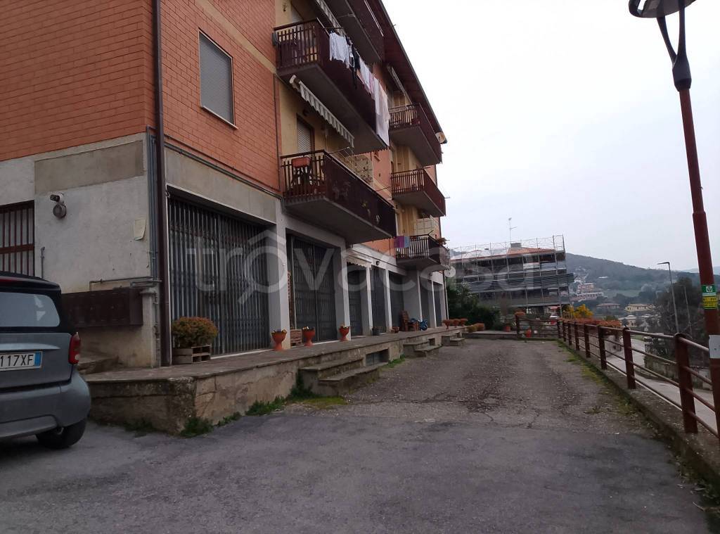 immagine annuncio 3 di 4