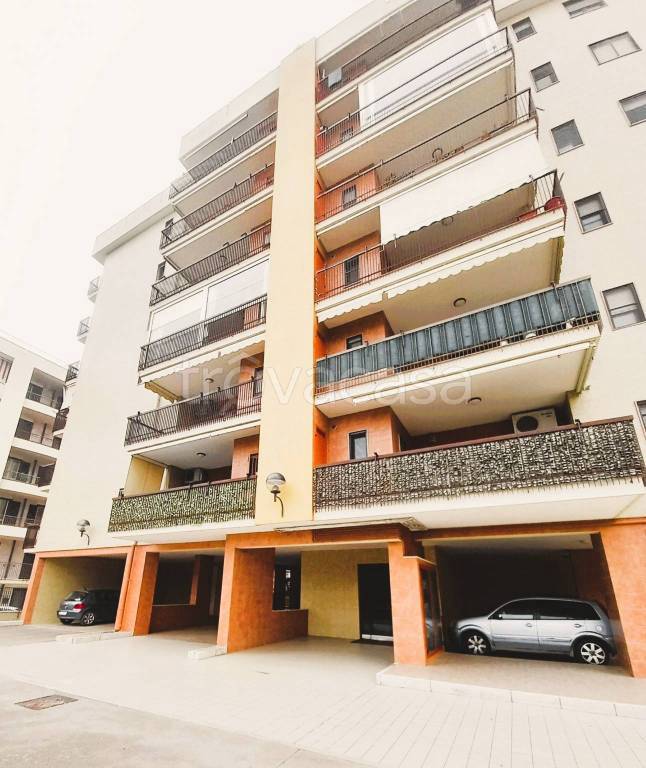 immagine annuncio 5 di 12