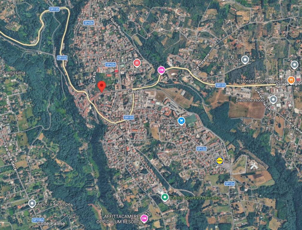 immagine annuncio 9 di 10