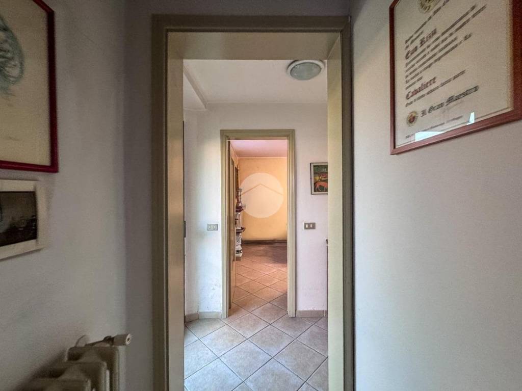 immagine annuncio 5 di 14