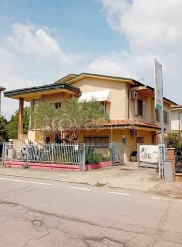 immagine annuncio 1 di 8