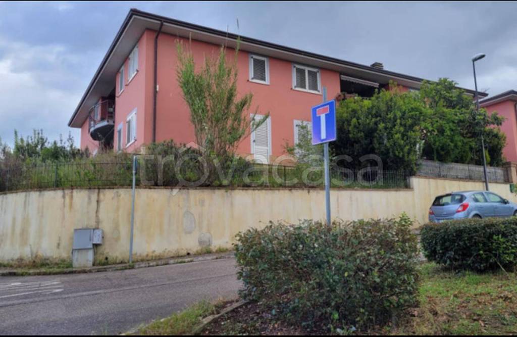 immagine annuncio 5 di 11