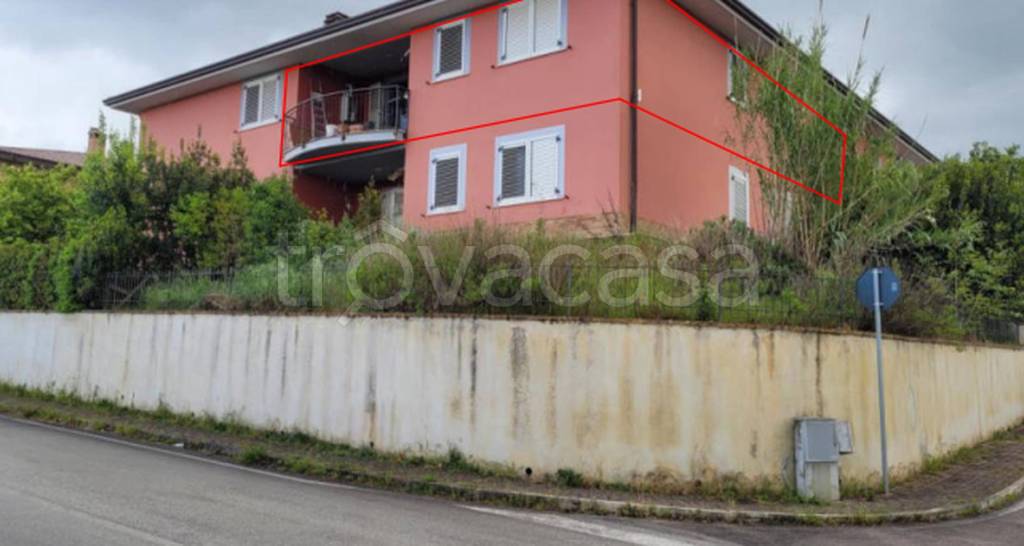 immagine annuncio 7 di 11