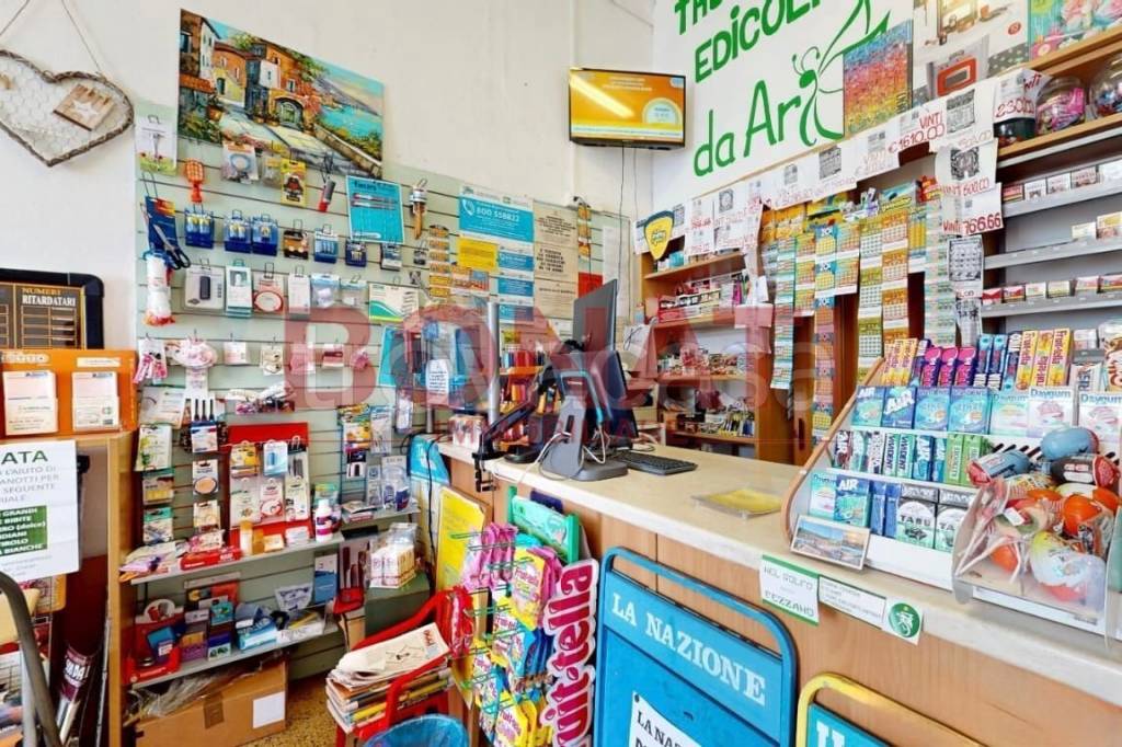 immagine annuncio 4 di 12