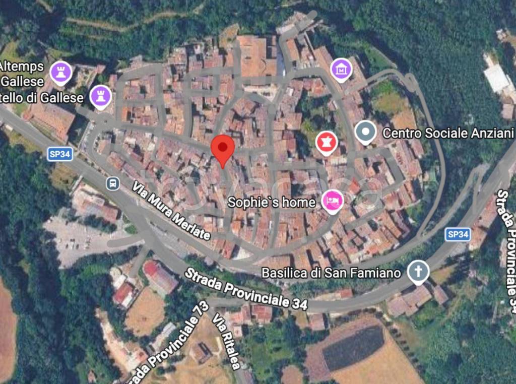 immagine annuncio 9 di 11