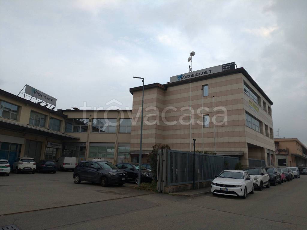 immagine annuncio 5 di 15