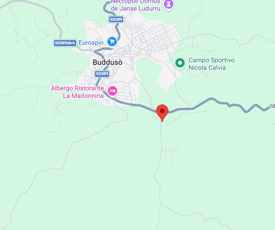 immagine annuncio 3 di 11