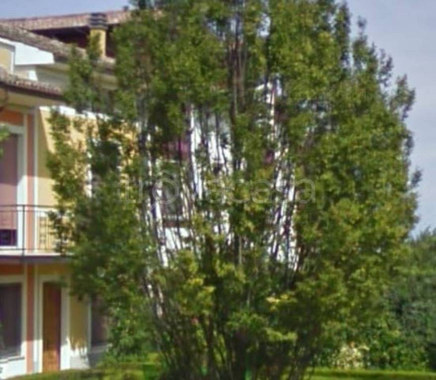 immagine annuncio 6 di 12