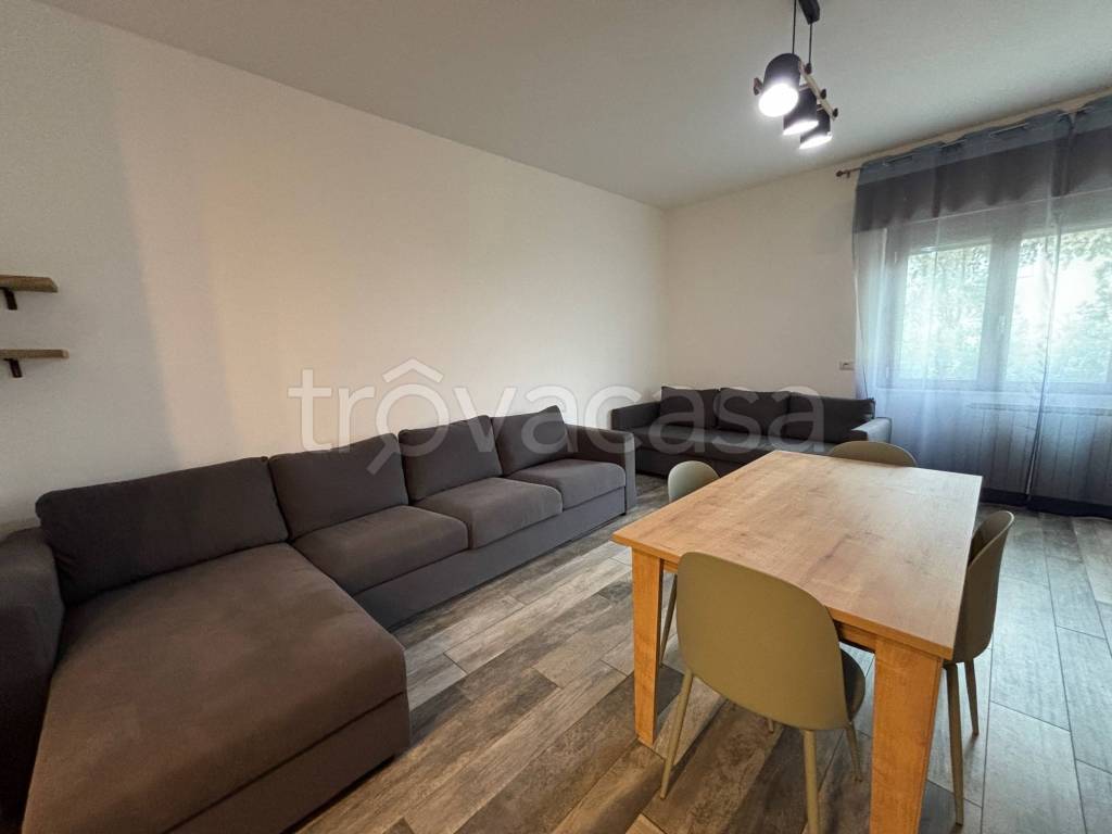 immagine annuncio 5 di 14