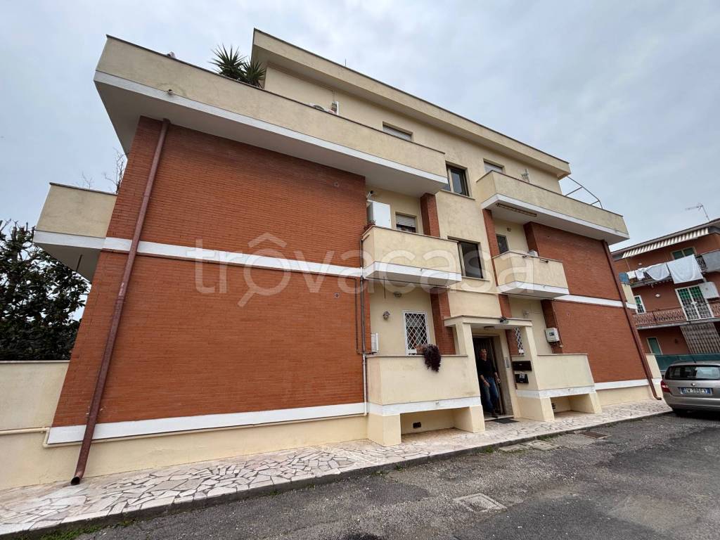 immagine annuncio 13 di 14