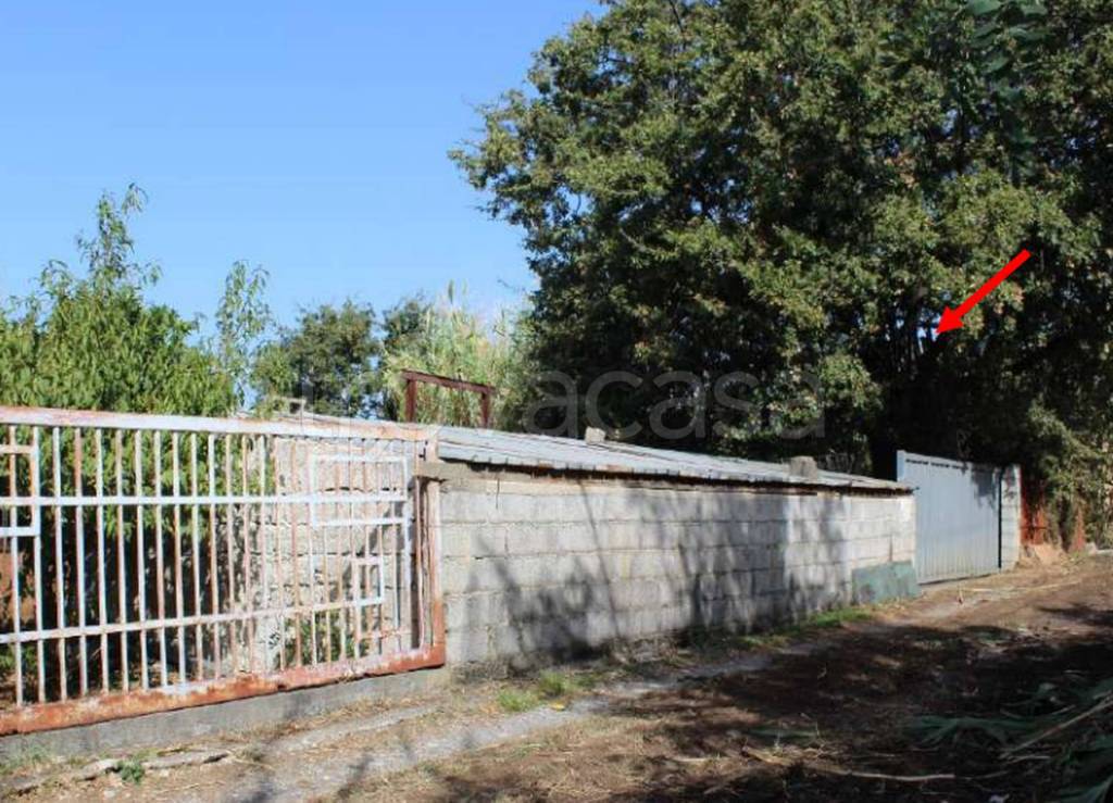 immagine annuncio 3 di 11