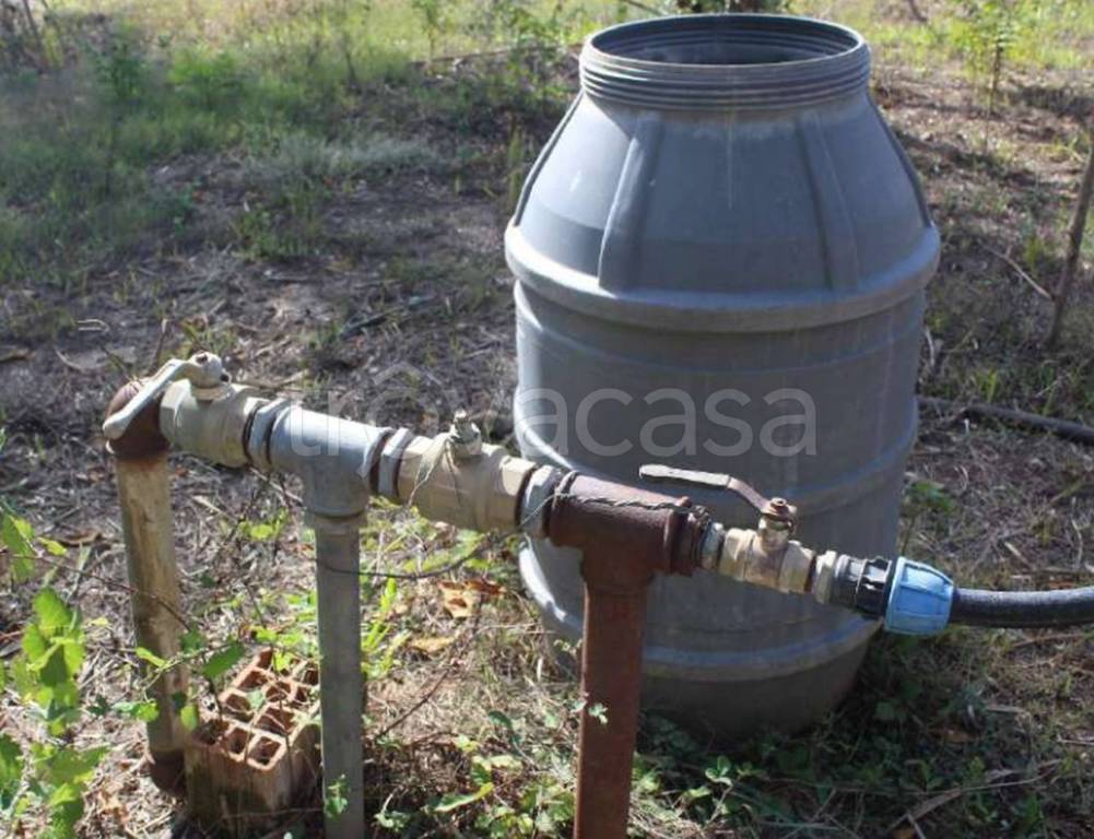 immagine annuncio 7 di 11