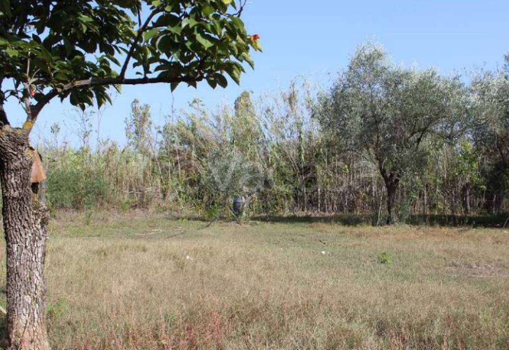 immagine annuncio 8 di 11