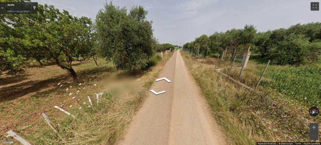 immagine annuncio 7 di 12