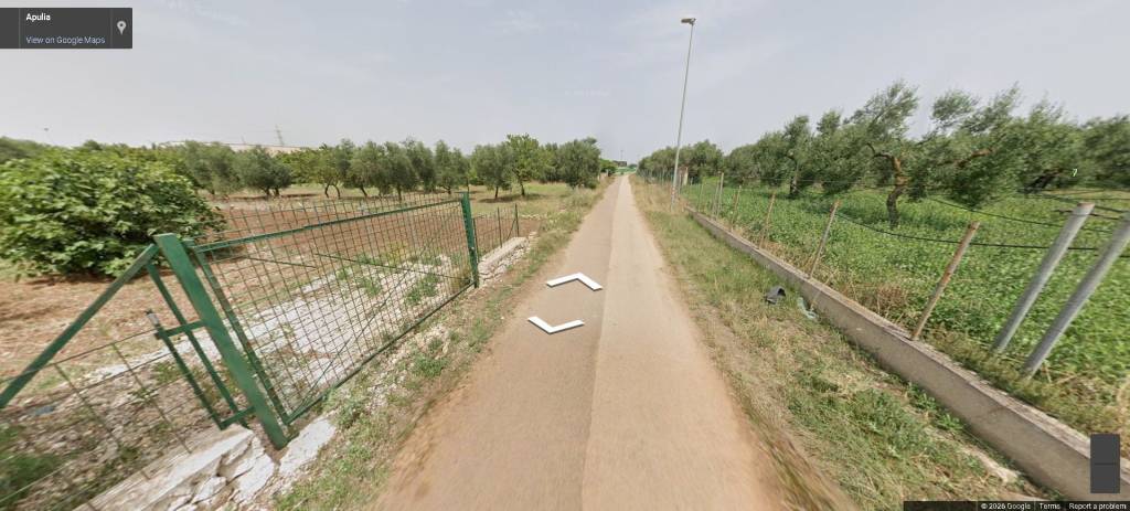 immagine annuncio 9 di 12