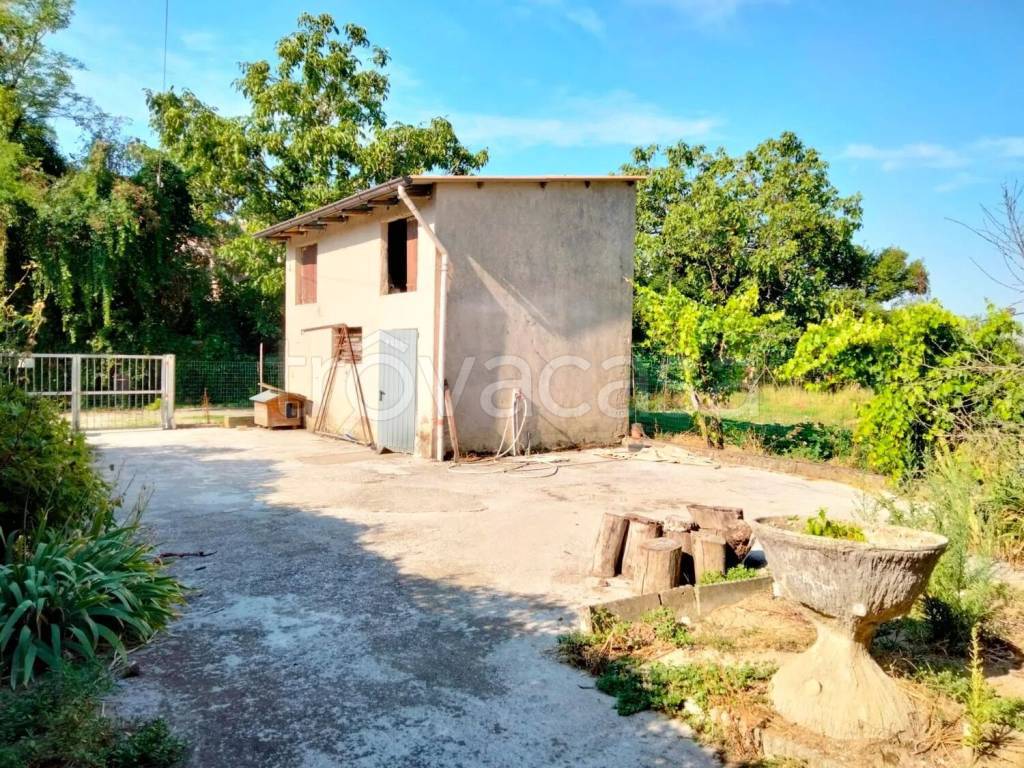 immagine annuncio 1 di 14