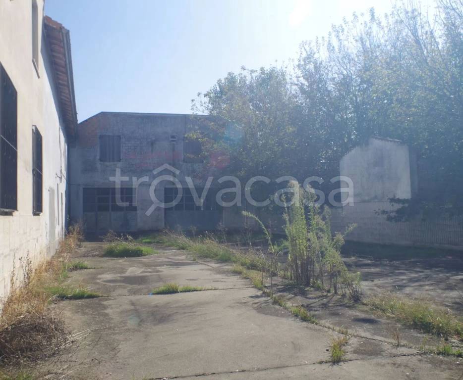 immagine annuncio 2 di 6