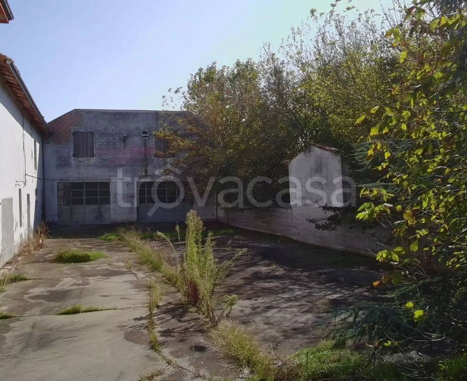 immagine annuncio 3 di 6