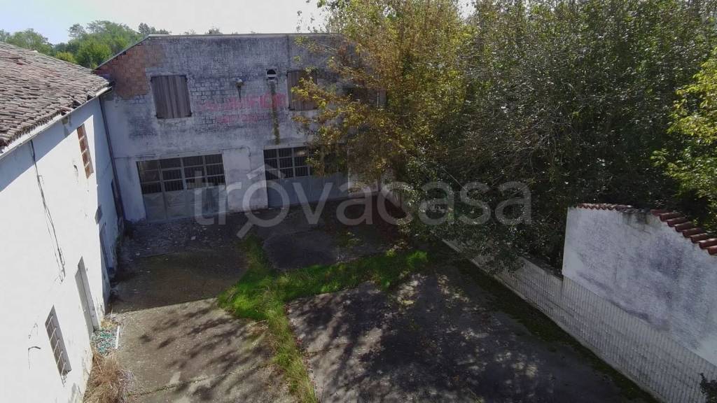 immagine annuncio 4 di 6