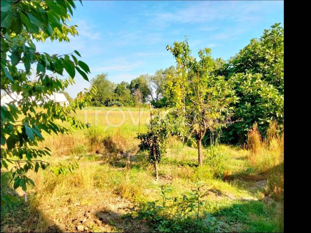 immagine annuncio 13 di 14