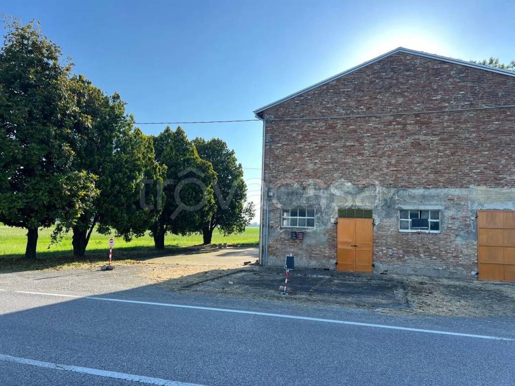 immagine annuncio 12 di 13