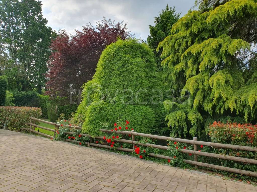 immagine annuncio 6 di 15