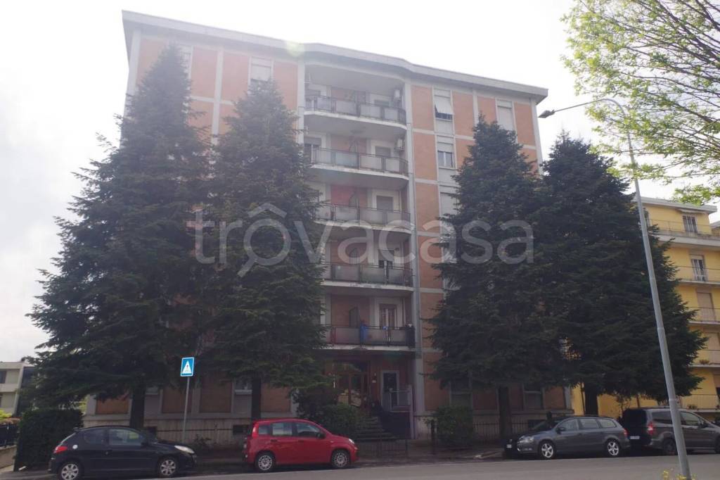 immagine annuncio 12 di 13