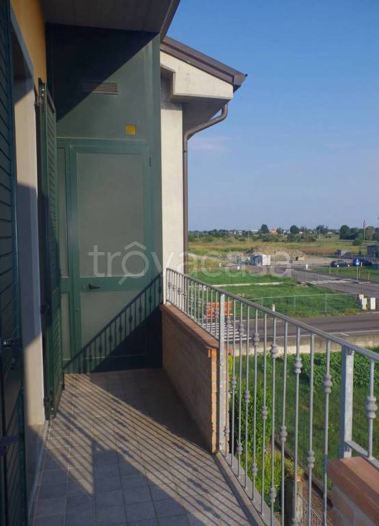 immagine annuncio 3 di 11