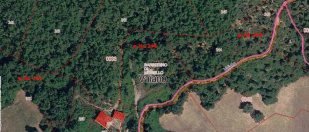 immagine annuncio 2 di 8