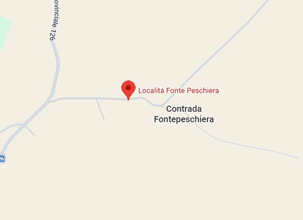 immagine annuncio 2 di 10