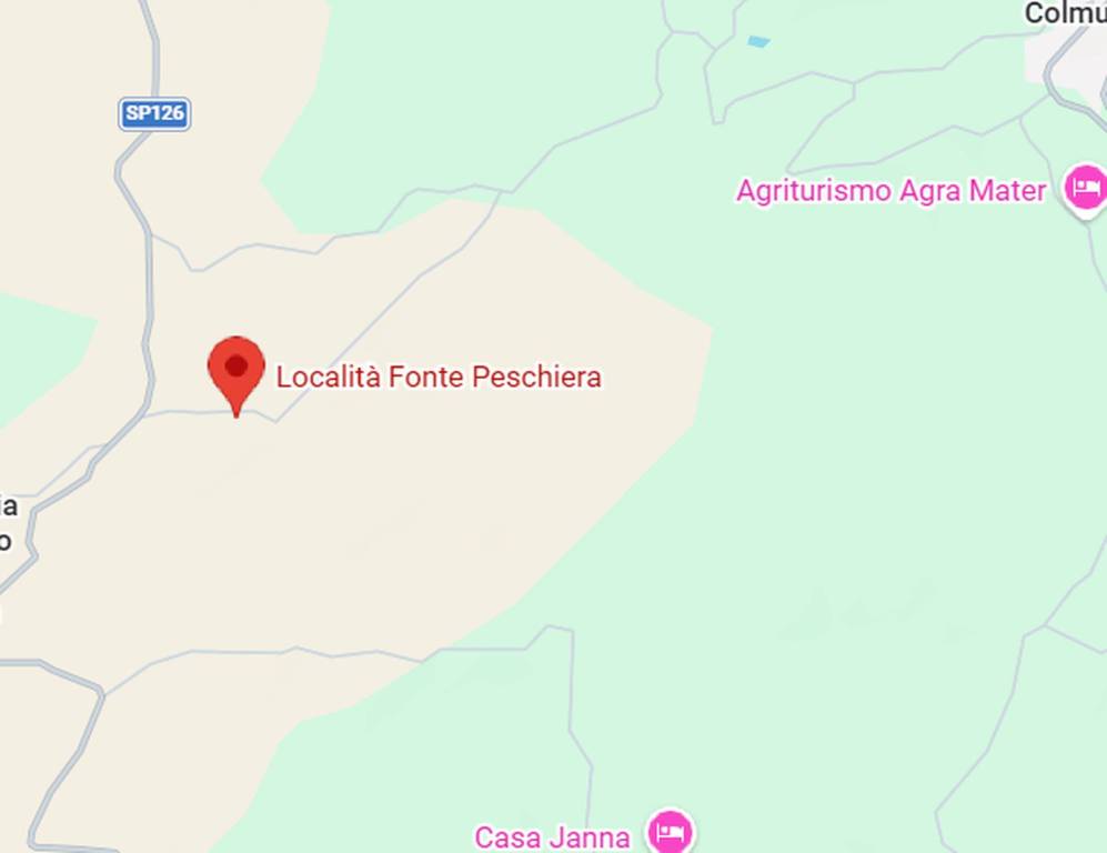 immagine annuncio 4 di 10