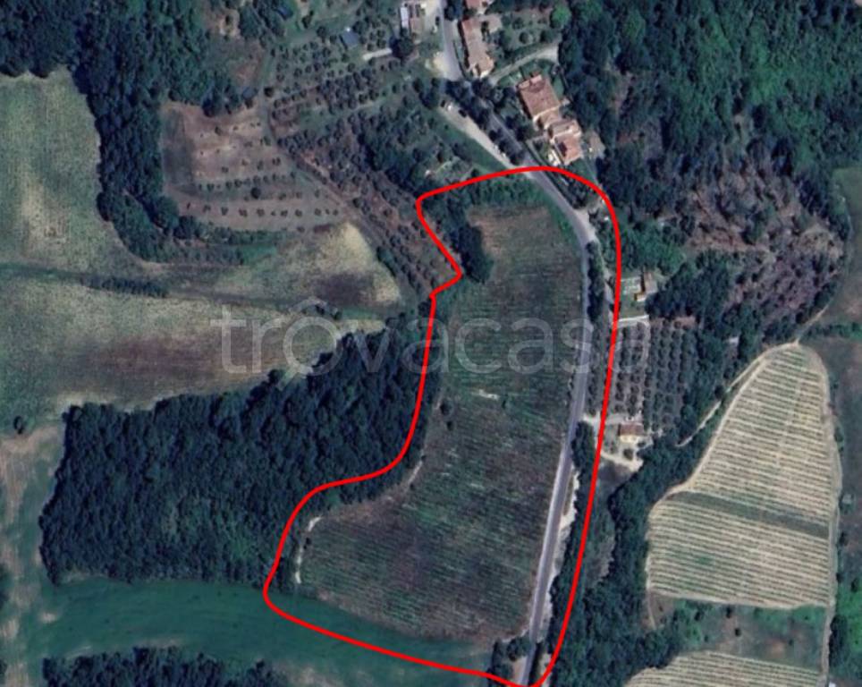 immagine annuncio 8 di 11