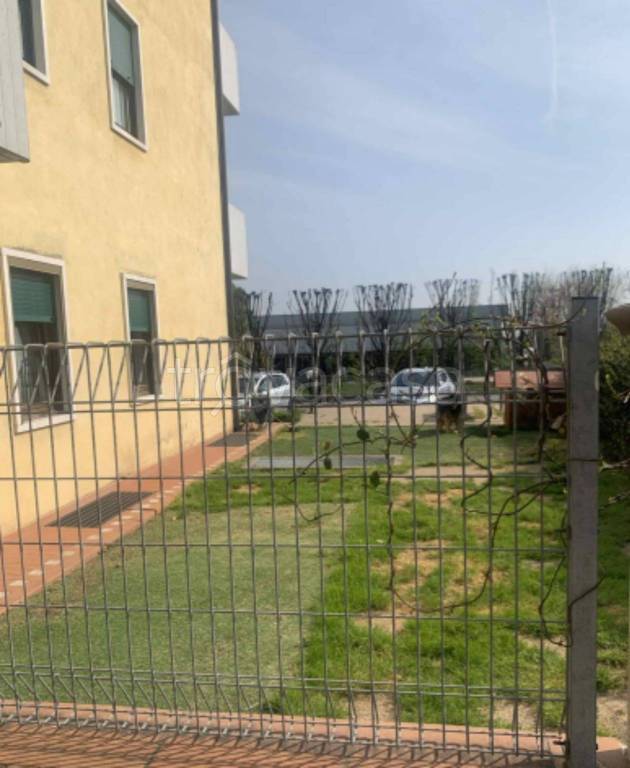 immagine annuncio 6 di 13