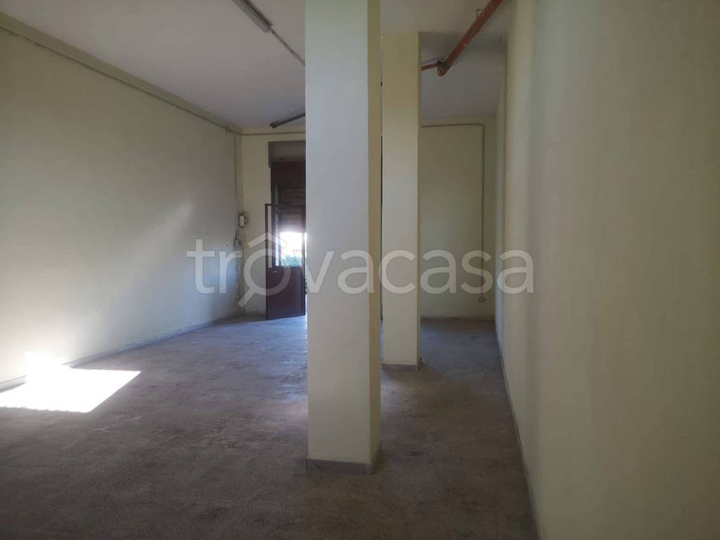 immagine annuncio 2 di 6