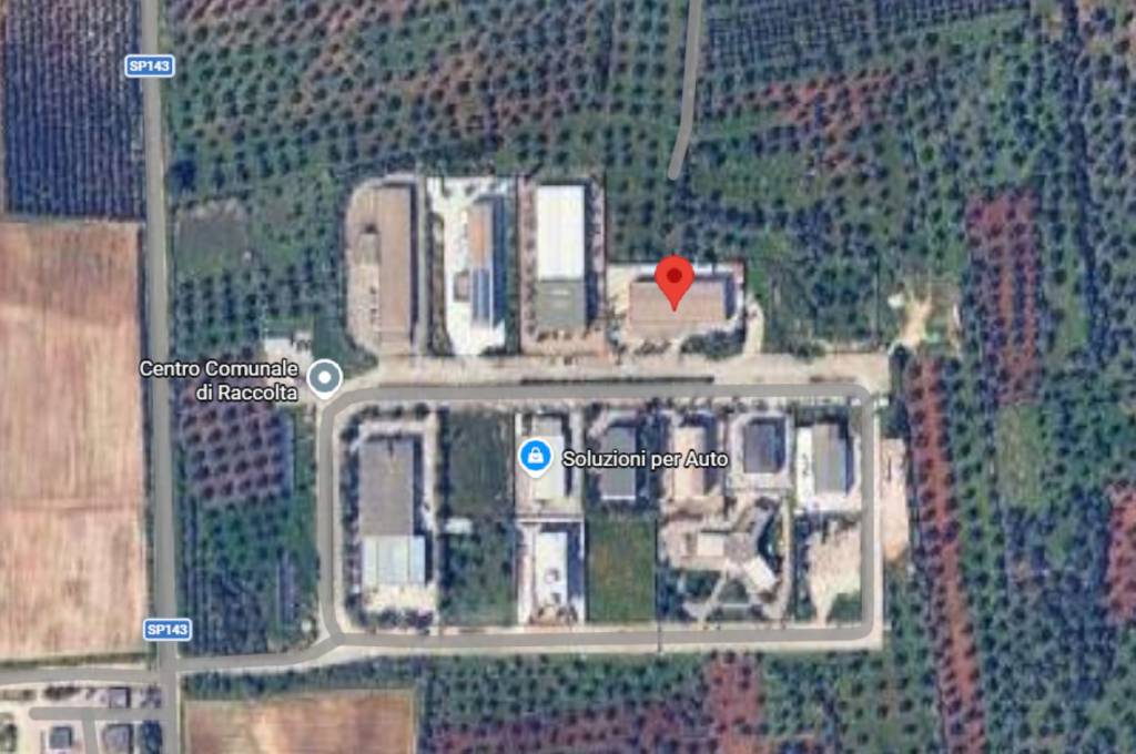 immagine annuncio 3 di 10