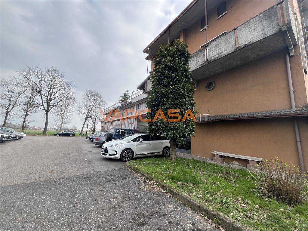 immagine annuncio 5 di 15