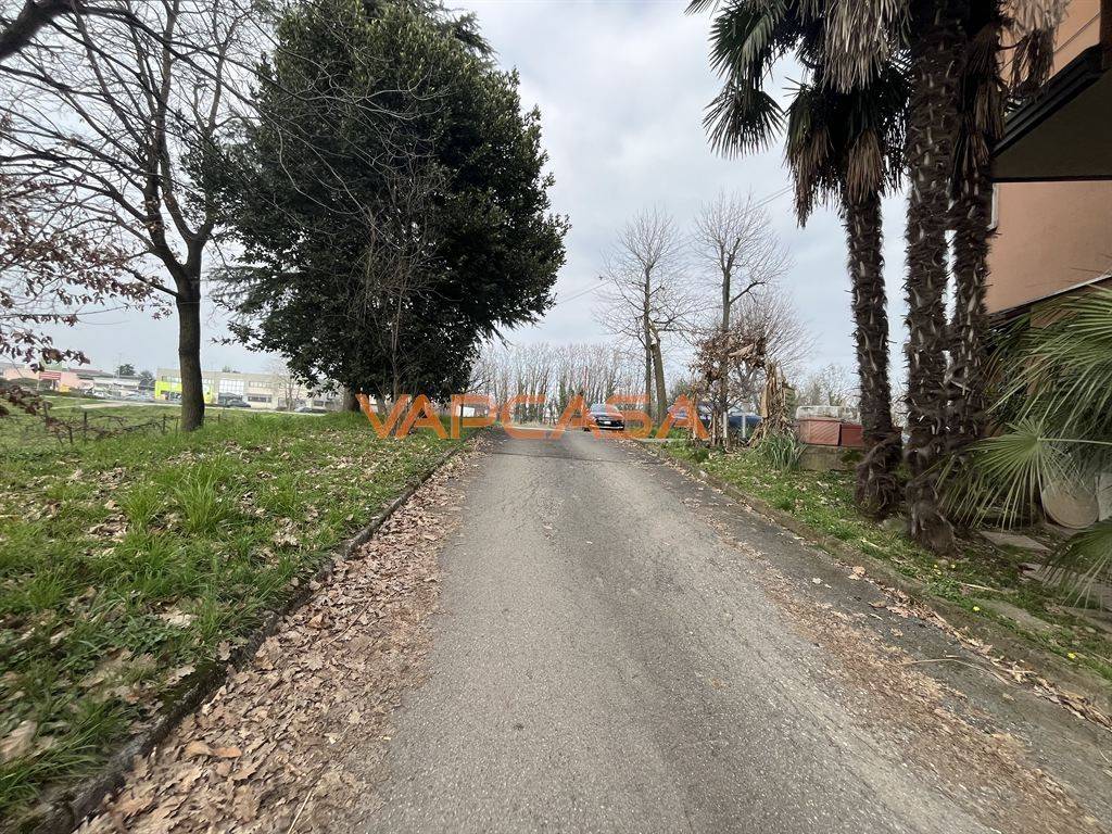 immagine annuncio 7 di 15