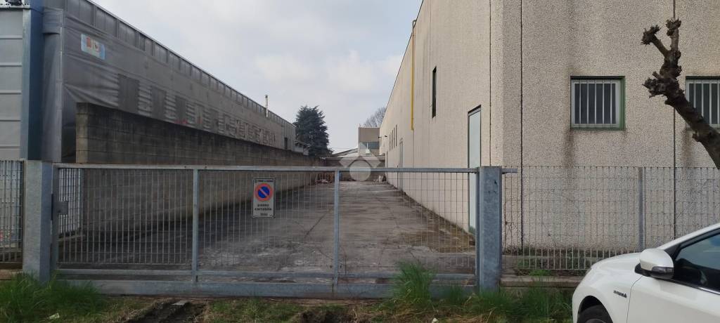 immagine annuncio 11 di 15