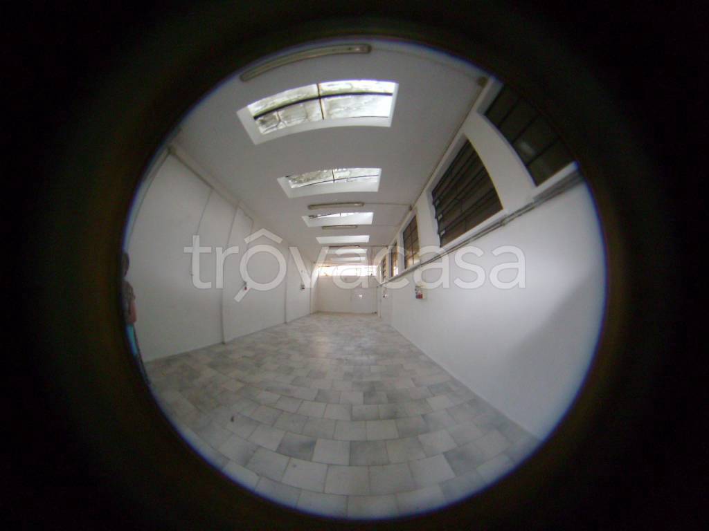 immagine annuncio 9 di 14