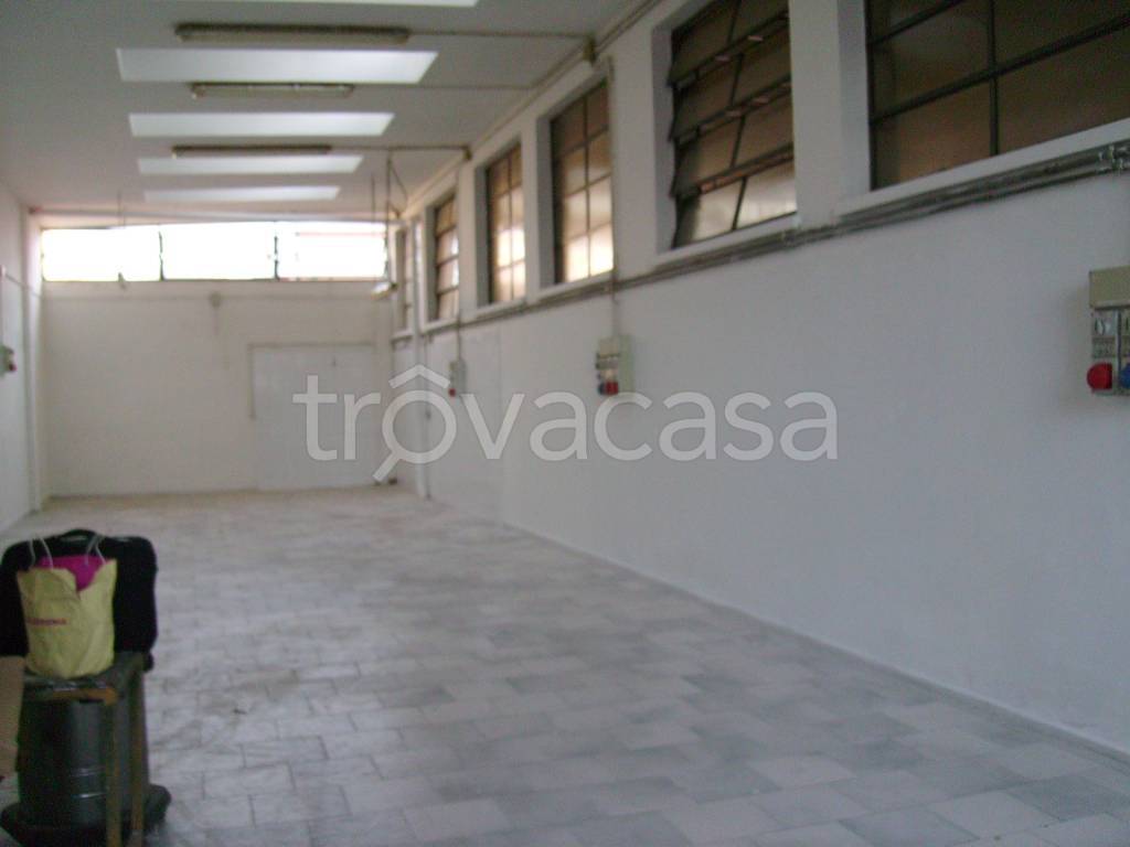 immagine annuncio 3 di 14