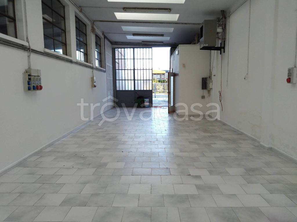 immagine annuncio 1 di 14